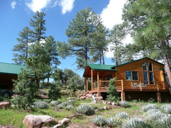 Best Wellness Retreats in Arizona