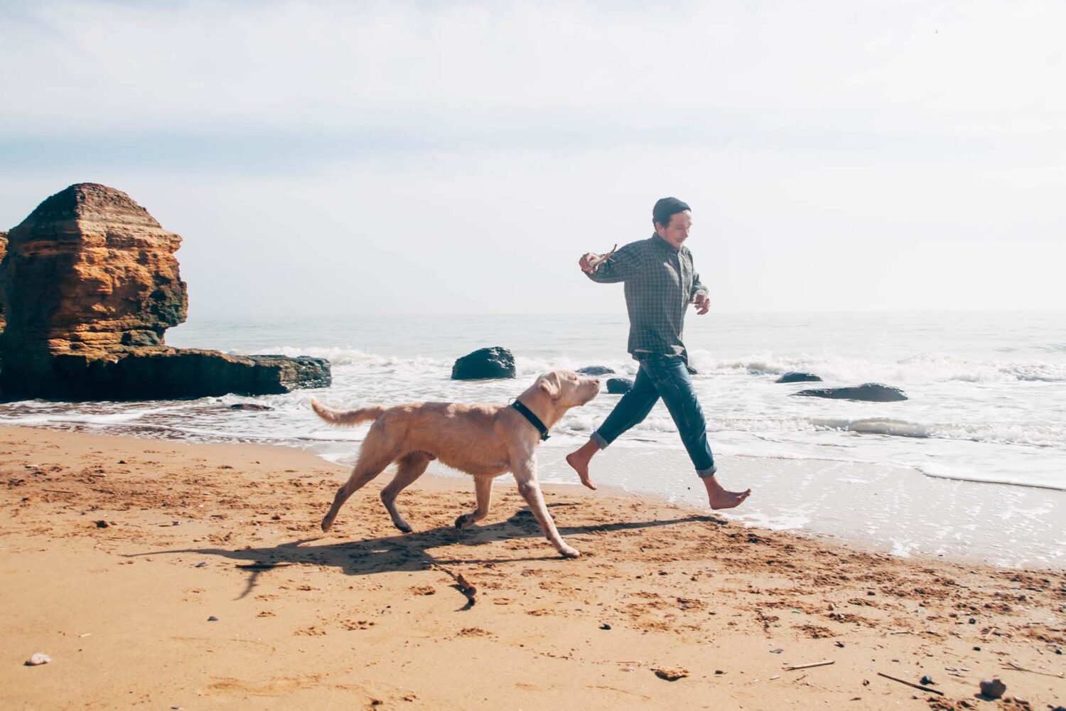 Dog friendly vacation spots on the East Coast 2026