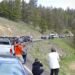 Driving vs Walking: Best Way to See Yellowstone