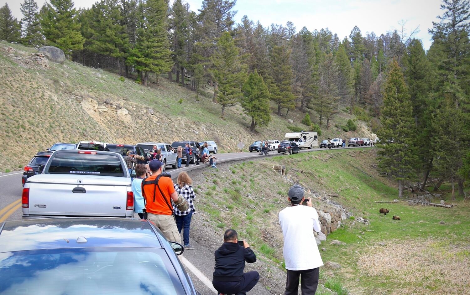Driving vs Walking: Best Way to See Yellowstone