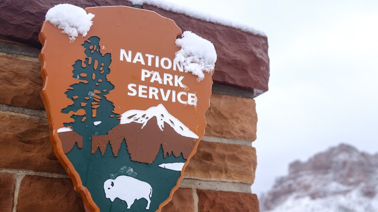 Foods Not Allowed in National Parks USA