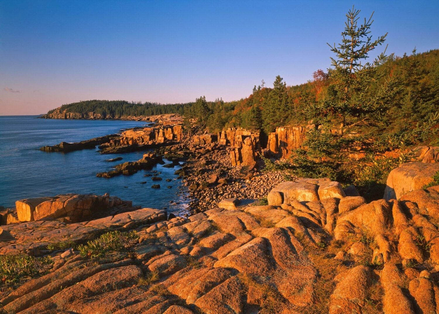 How to visit Acadia National Park in 2026 without a car