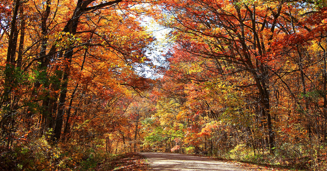 Underrated Fall Foliage Spots in the Midwest