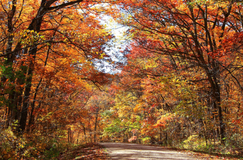 Underrated Fall Foliage Spots in the Midwest