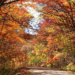 Underrated Fall Foliage Spots in the Midwest