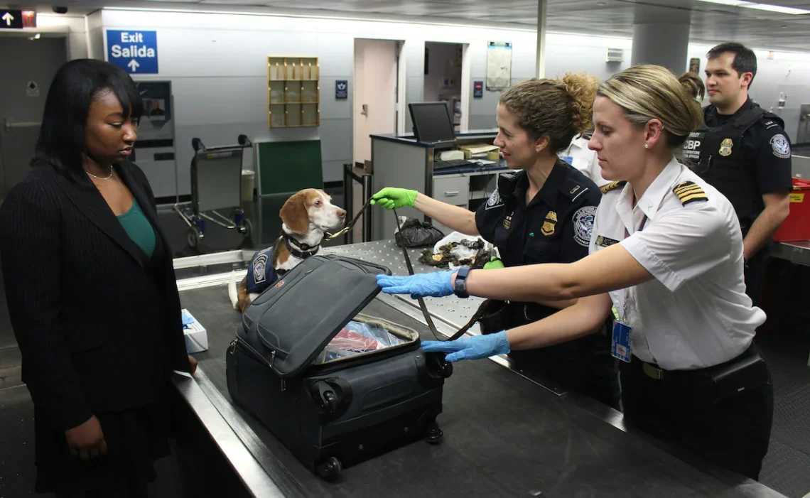 Why Airport Security Takes Longer Some Days