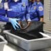 Why TSA Confiscates Food at Airport Security