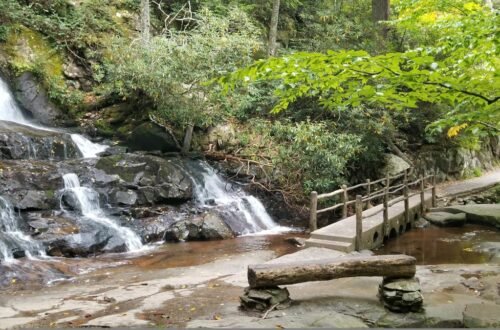 best kid-friendly hiking trails in the Smokies