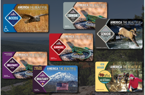 how to use the new NPS digital pass in 2026