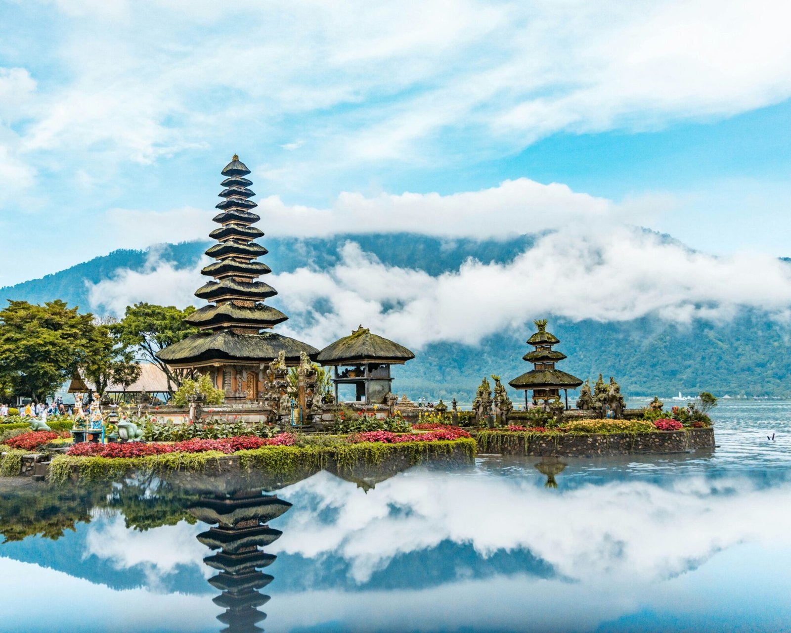 Bali Hotels with Starlink: Best Stays for Digital Nomads in 2026